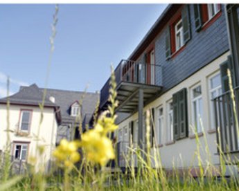 Multi-family house with a balcony and a green lawn in the foreground, surrounded by blooming plants and a clear sky.