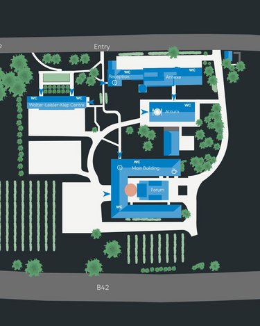 Site plan of an area featuring various buildings, including the main building, the forum, and the reception area. Surrounded by green spaces, trees, and vineyards, with access from Rheingastraße and B42.