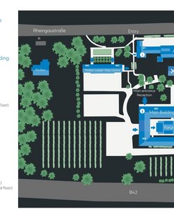 Site plan of an area featuring various buildings, including the main building, reception, and forum, surrounded by green spaces and vineyards. Entrances and pathways are clearly marked.