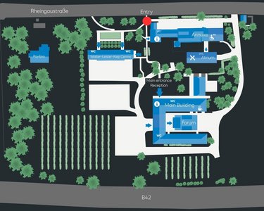 Site plan of an area with various buildings, including the main building, forum, and reception. The entrance area is marked. Surrounded by green spaces and vineyards, with street names indicated along the edge.