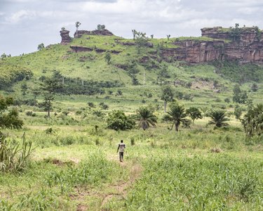 Ein Mensch geht durch eine grüne Landschaft mit Hügeln und Bäumen im Hintergrund. Die Umgebung ist üppig und bewaldet.